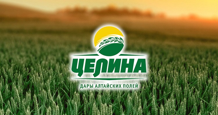 Целина
